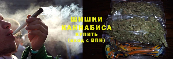 PSILOCYBIN Липки