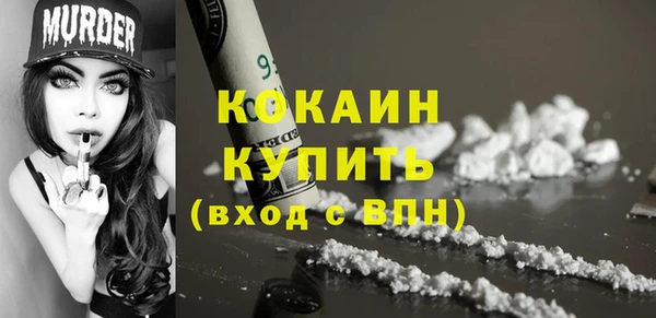 PSILOCYBIN Липки