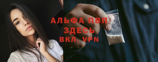PSILOCYBIN Липки