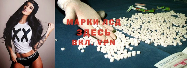 PSILOCYBIN Липки