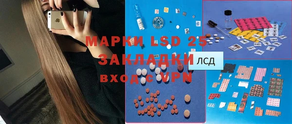 PSILOCYBIN Липки