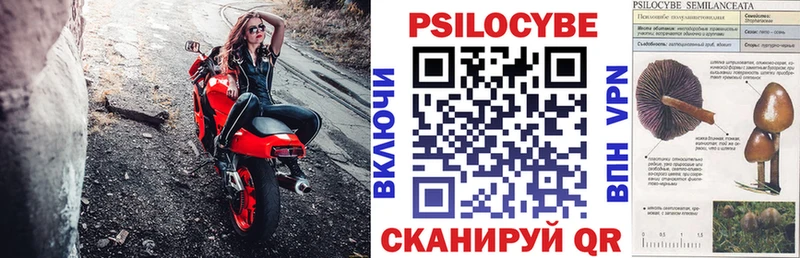 Галлюциногенные грибы MAGIC MUSHROOMS  сайты даркнета Telegram  Пласт 